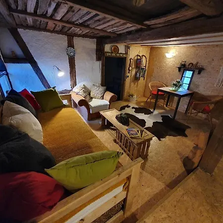 Gruene Kuh Elsteraue
